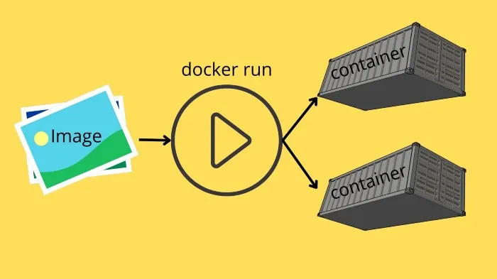 Images act as a template and turn into a container once run