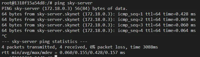 Pinging a running container on the same network using the container name