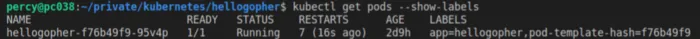kubectl command output showing labels