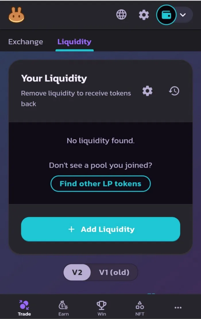 PancakeSwap — Adding Liquidity by swapping BNB and CAKE