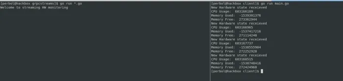 Example showing the client and server running.